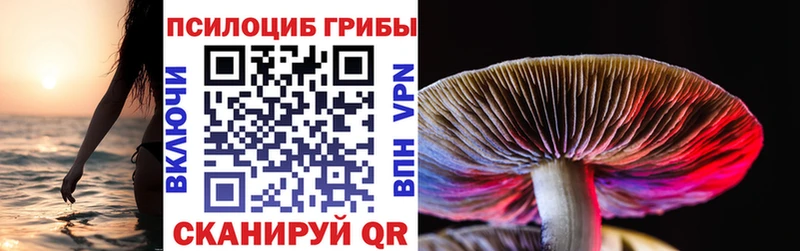 сколько стоит  кракен   Псилоцибиновые грибы Psilocybe  Валдай 
